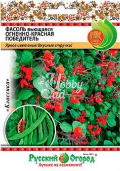 Фасоль Победитель НД вьющаяся огненно-красная (30 г) Русский Огород