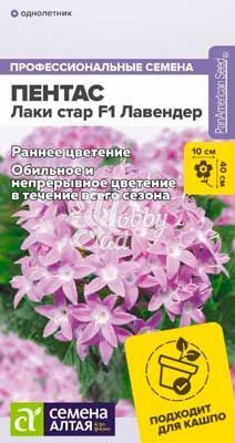 Цветы Пентас Лаки стар F1 Лавендер ланцетовидный (3 шт) Семена Алтая