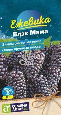 Ежевика Блэк Мама крупноплодная (0,01 г) Семена Алтая
