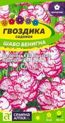 Цветы Гвоздика Шабо Бенигна садовая (0,1 г) Семена Алтая