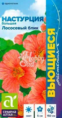 Цветы Настурция Лососевый Блик большая Вьющаяся (0,5 гр) Семена Алтая