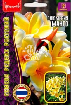 Цветы Плюмерия Манго (3 шт) ЭКЗОТИКА