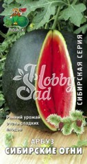 Арбуз Сибирские огни (15 шт) Поиск Сибирская серия