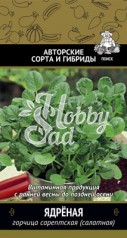 Горчица Ядреная Салатная (1 гр)  Поиск Авторские сорта и гибриды