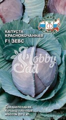 Капуста Зевс F1 краснокочанная (0,05 г) Седек