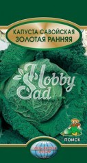 Капуста Золотая ранняя савойская (0,5 гр) Поиск Лидеры Мировой Селекции