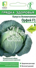 Капуста Орфей F1 белокочанная (0,2 гр) Поиск Грядка здоровья