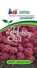 Капуста Скарлет листовая кудрявая (0,3 г) Партнер 