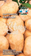 Картофель Баллада (0,02 г) Седек