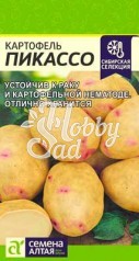 Картофель Пикассо (0,02 г) Семена Алтая Сибирская Селекция!