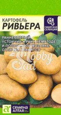 Картофель Ривьера (0,02 г) Семена Алтая Сибирская Селекция!