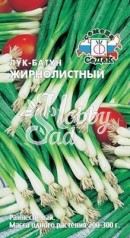 Лук Жирнолистный Батун (1 г) Седек