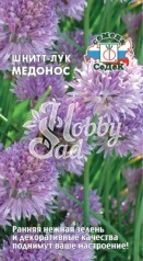 Лук Медонос шнитт (0,5 г) Седек