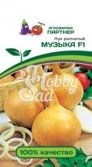 Лук Музыка F1 репчатый  (2-ной пак.) (0,5 г) Партнер 