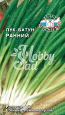 Лук Ранний батун (1 г) Седек 