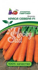 Морковь Краса Севера F1 (0,5 г) Партнер