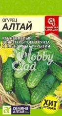 Огурец Алтай (0,5 гр) Семена Алтая Сибирская Селекция!