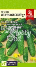 Огурец Вязниковский 37 (0,5 гр) Семена Алтая