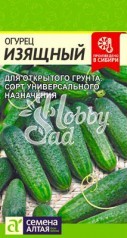 Огурец Изящный (0,5 гр) Семена Алтая