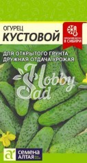 Огурец Кустовой (0,5 гр) Семена Алтая