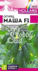 Огурец Маша F1 (5 шт) Семена Алтая Seminis