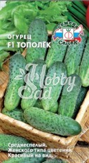 Огурец Тополек F1 (0,3 г) Седек