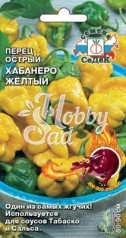 Перец Хабанеро жёлтый острый  (6 шт) Седек