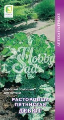 Расторопша Дебют пятнистая (0,5 гр) Поиск Аптека на грядке