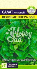 Салат Великие Озера-659 (0,5 гр) Семена Алтая 