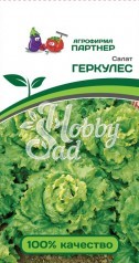 Салат Геркулес листовой (0,5 г) Партнер