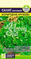 Салат Изумрудное Кружево (0,5 гр) Семена Алтая