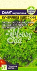 Салат Кучерявец Одесский (0,5 гр) Семена Алтая