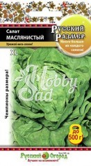 Салат Маслянистый кочанный Русский размер (0,5 г) Русский Огород серия Русский Размер