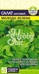 Салат Молодо-Зелено (0,5 гр) Семена Алтая