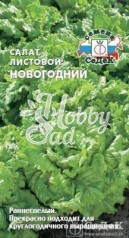 Салат Новогодний листовой (0,5 г) Седек