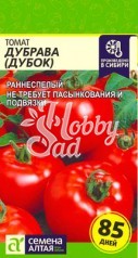 Томат Дубок (Дубрава) (0,1 г) Семена Алтая