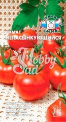 Томат Непасынкующийся (0,1 г) Седек