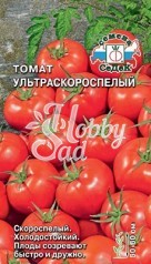 Томат Ультраскороспелый (0,1 г) Седек