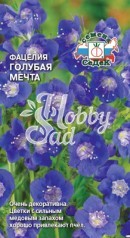 Фацелия Голубая мечта (2 г) Седек