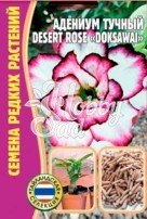 Цветы Адениум Доксавай DESERT ROSE (Doksawai) (3 шт) ЭКЗОТИКА Комнатные