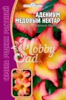 Цветы Адениум Медовый Нектар (3 шт) ЭКЗОТИКА Комнатные