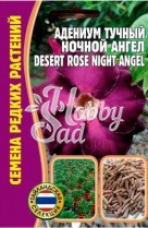 Цветы Адениум Ночной Ангел Desert Rose (3 шт) ЭКЗОТИКА Комнатные