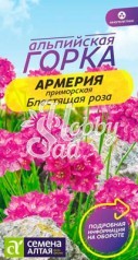 Цветы Армерия Блестящая роза приморская (0,03 г) серия Альпийская горка Семена Алтая