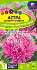 Цветы Астра Аполлония Светло-розовая хризантемовидная (0,2 гр) Семена Алтая