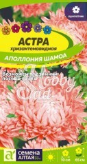 Цветы Астра Аполлония Шамоа хризантемовидная (0,2 гр) Семена Алтая