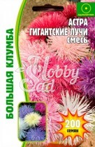 Цветы Астра Гиганские лучи смесь (200 шт) ЭКЗОТИКА