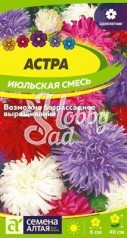 Цветы Астра Июльская смесь (0,2 гр) Семена Алтая