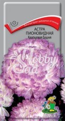 Цветы Астра Кварцевая башня пионовидная (0,3 г) Поиск