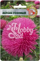 Цветы Астра китайская Мерлин Розовый (50 шт) Биотехника