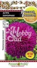 Цветы Астра Русский Размер II Пурпурная (0,2 г) Русский Огород серия Русский Размер